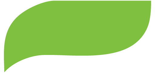 Icône vert