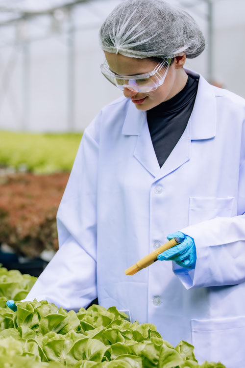 collin-agroalimentaire-fertilisant-genetique-laboratoire Collin Agroalimentaire - Fertilisant génétique - laboratoire