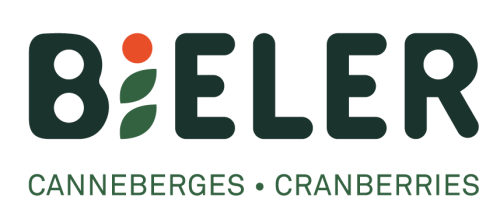 Belier